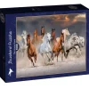 Puzzle A Corrida de Cavalos