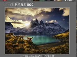 Puzzle Alexander von Humboldt: camelos Guanacos ao pôr do sol