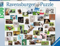 Puzzle Animais de estimação divertidos