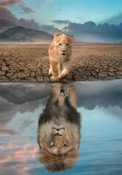 Puzzle Auto-reflexão