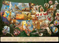 Puzzle Aves estatais da América