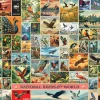 Puzzle Aves nacionais do mundo