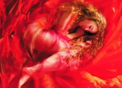 Puzzle Bela adormecida