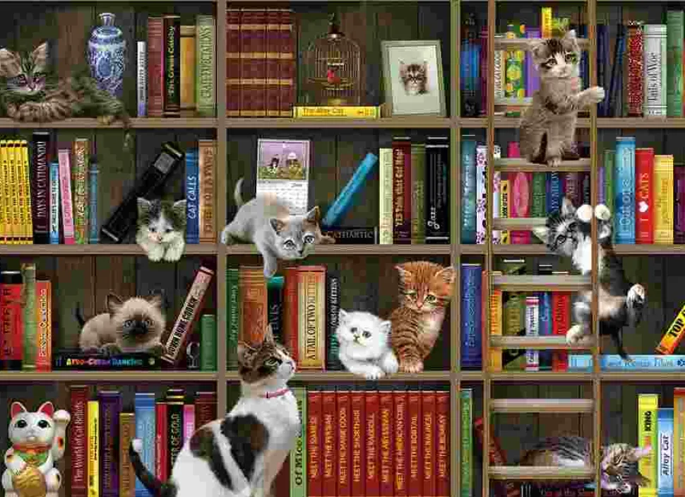 Puzzle Bibliotecários da Kitty