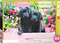 Puzzle Black Labs in Pink Box