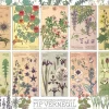 Puzzle Botanicals by Verneuil