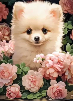 Puzzle Cachorro Pomerânia em Rosas