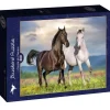 Puzzle Casal de Cavalos