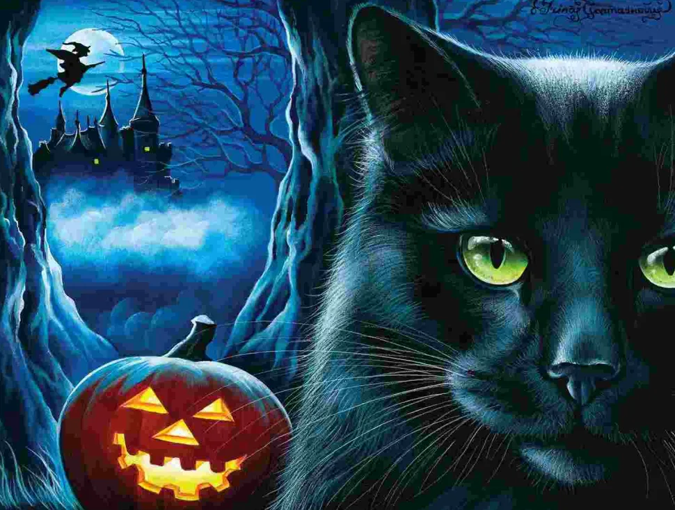 Puzzle Castelo encantado