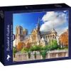 Puzzle Cathédrale Notre-Dame de Paris