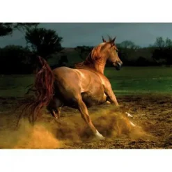 Puzzle Cavalo correndo