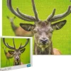 Puzzle Cervo
