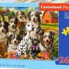 Puzzle Cães felizes no campo