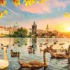 Puzzle Cisnes perto da Ponte Carlos