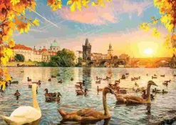 Puzzle Cisnes perto da Ponte Carlos