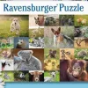 Puzzle Colagem de filhotes de animais
