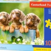 Puzzle Dachshunds fofos