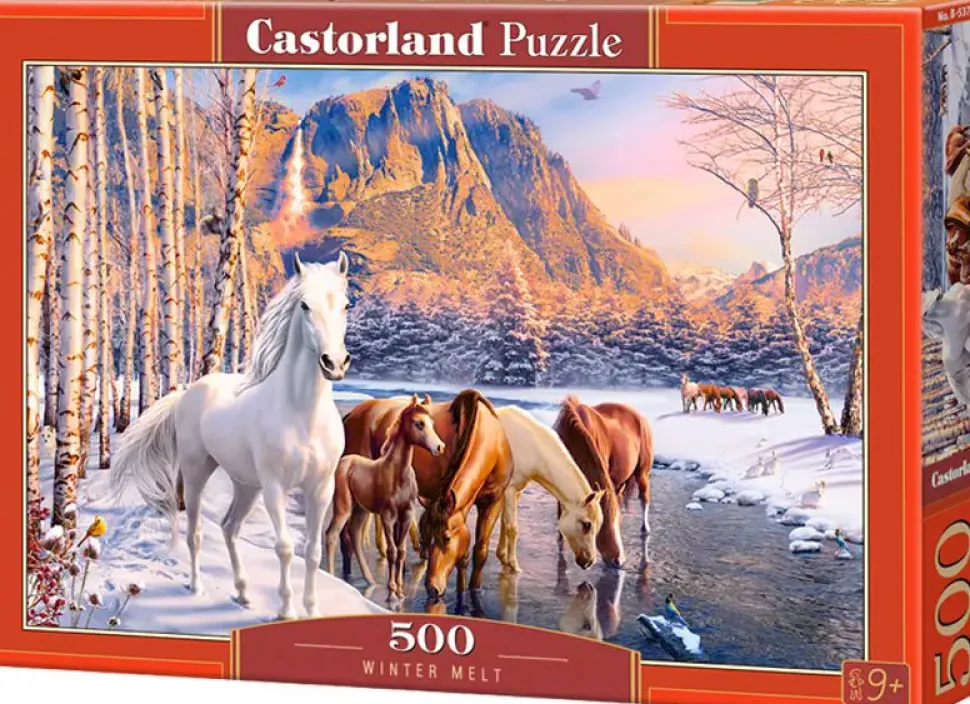 Puzzle Derretimento do inverno