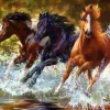 Puzzle Diamant painting: Cavalos no rio 30x40cm