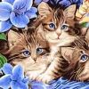 Puzzle Diamant painting: Três gatinhos em flores 30x40cm