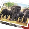 Puzzle Elefantes africanos