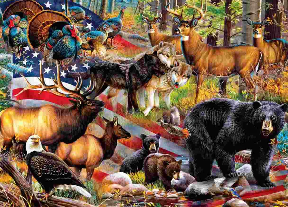 Puzzle Esta terra é sua terra