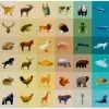 Puzzle Fauna
