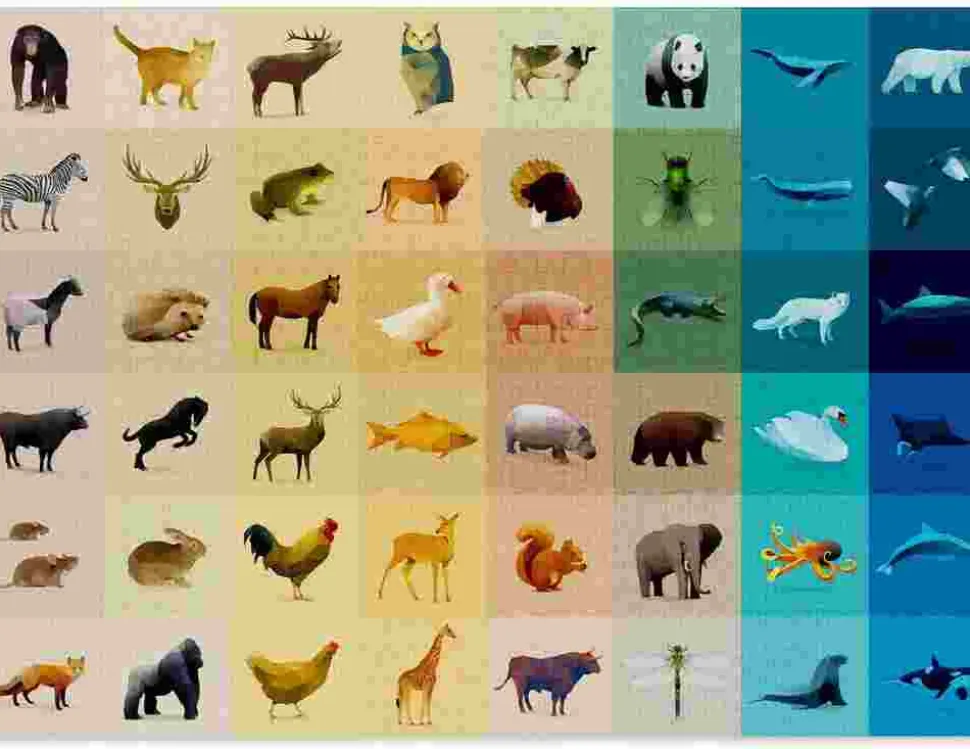 Puzzle Fauna