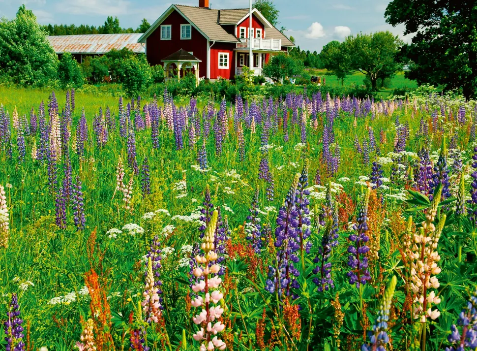 Puzzle Fazenda sueca, escandinava