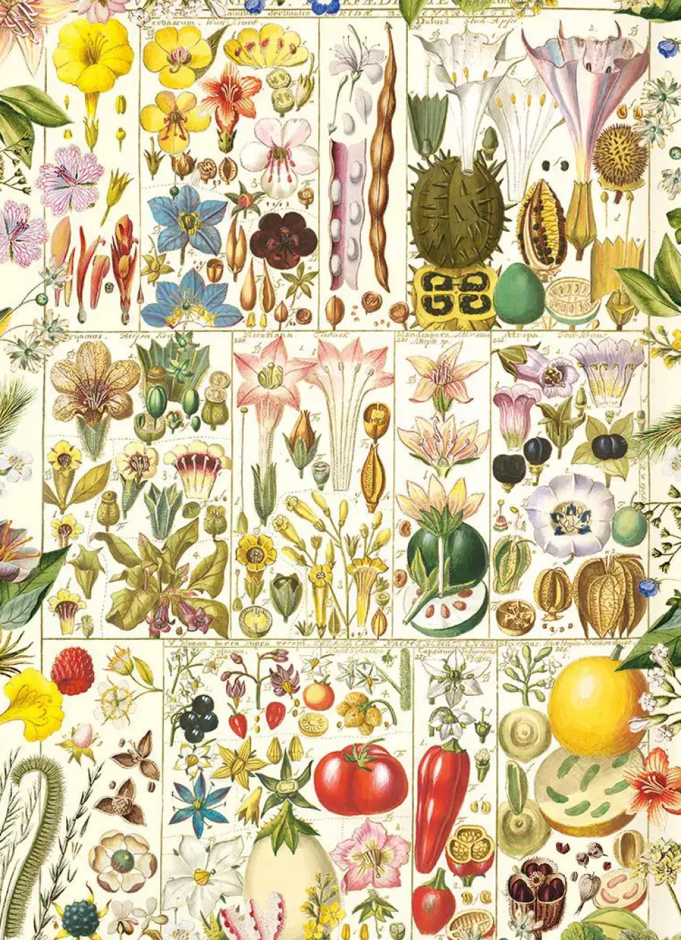 Puzzle Felicidade botânica