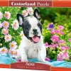 Puzzle Filhote de buldogue francês