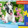 Puzzle Filhote de buldogue frances
