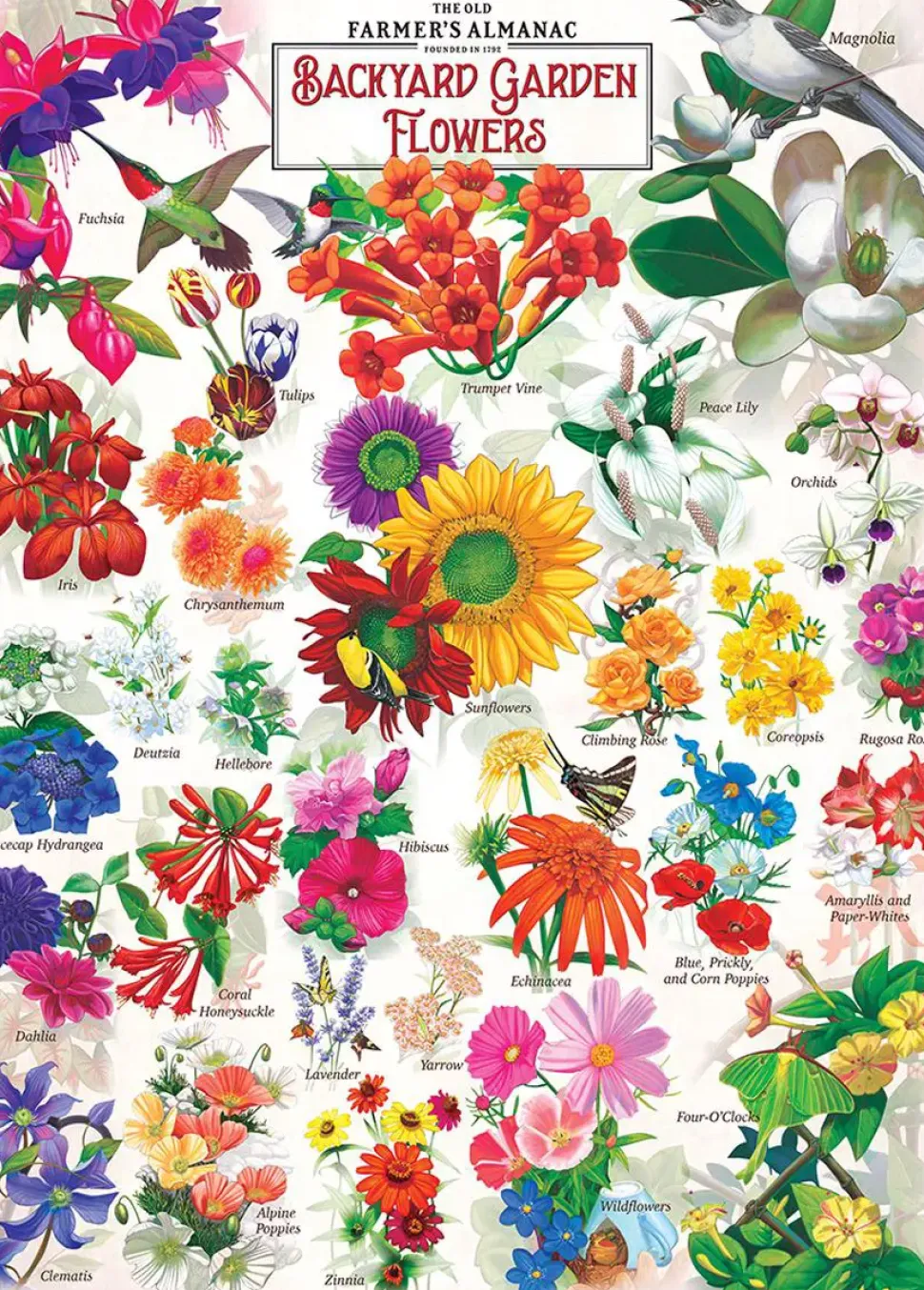 Puzzle Flores de jardim