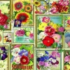 Puzzle Flower Pictures