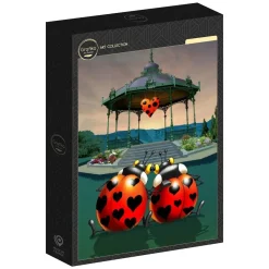 Puzzle Françoise Ruyer: Apaixonado