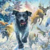Puzzle Fredrickson: Labrador na Neve