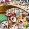 Puzzle Gatinhos em Veneza