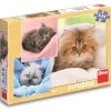 Puzzle Gatinhos fofos 3x55