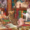 Puzzle Gatinhos na Biblioteca