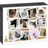 Puzzle Gatos