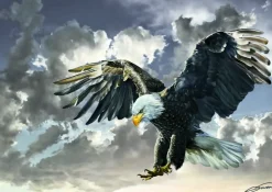 Puzzle Águia careca