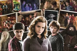 Puzzle Harry Potter e amigos