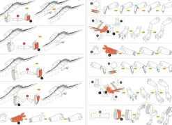 Puzzle Harry Potter: Gringotes Dragon 3D