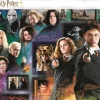 Puzzle Harry Potter: o mundo mágico