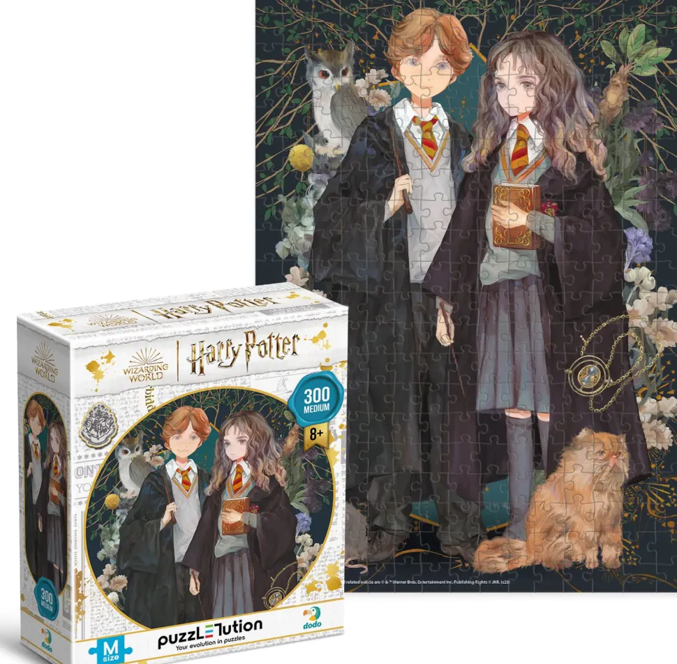 Puzzle Harry Potter: Ron a Hermiona