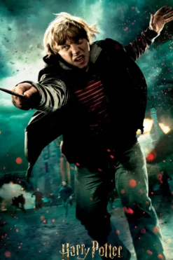 Puzzle Harry Potter: Ron Weasley 3D