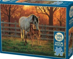 Puzzle Hora de silêncio