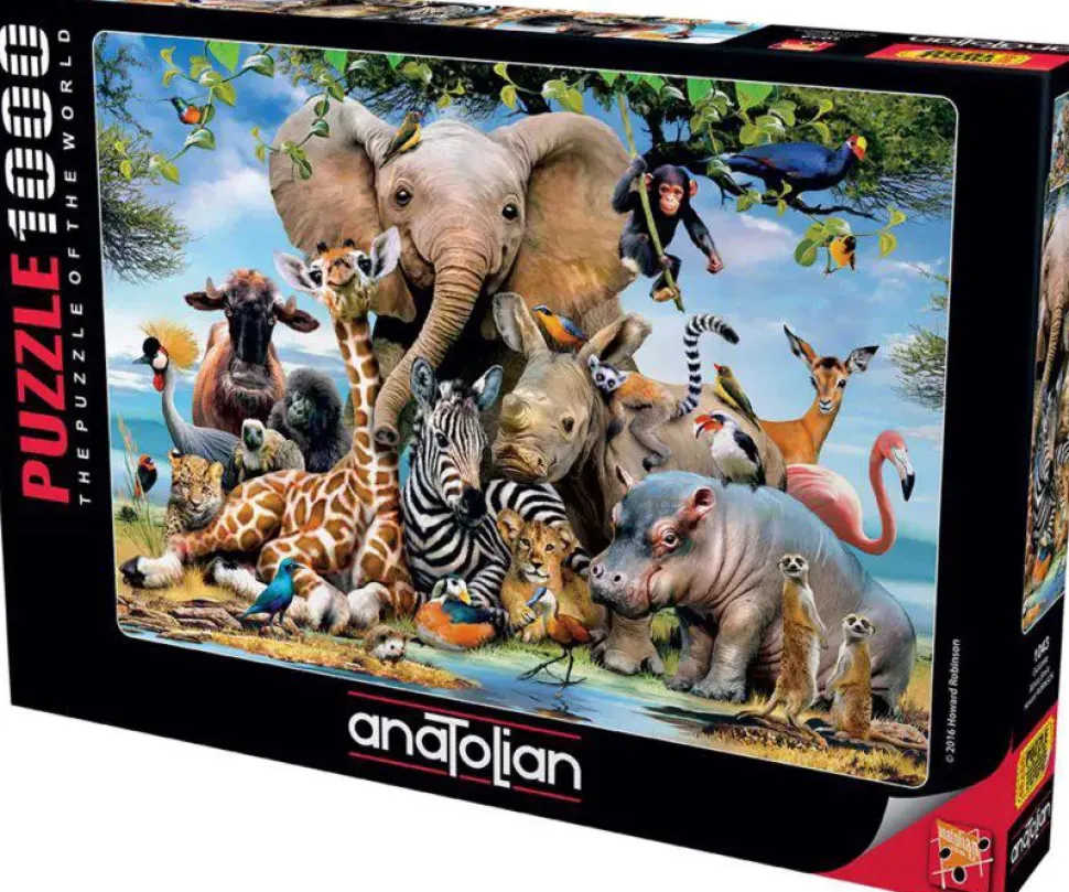 Puzzle Howard Robinson: Africa Smile