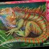 Puzzle Iguana incrível