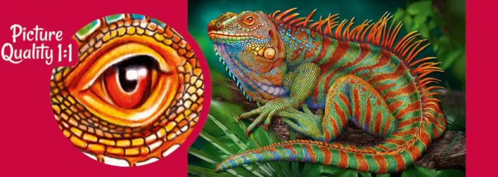 Puzzle Iguana incrível